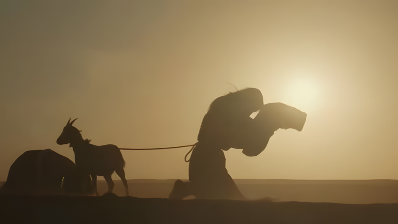 Swords into Plowshares: The Brainy Historical Epic Worth the Effort