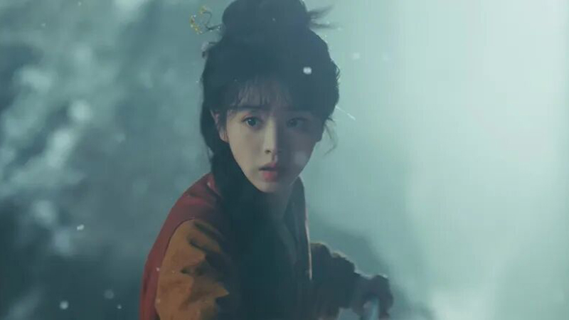 Pursuit of Jade The Dual Identity of Fan Changyu