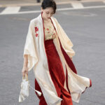 Song Dynasty Women Hanfu Red Summer Street Style