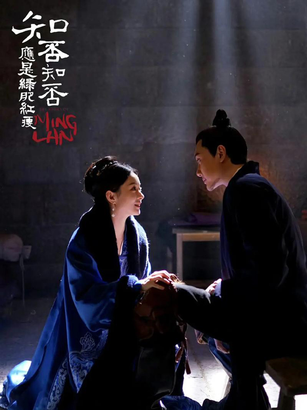 Top 6 Performances That Made Zhao Liying a Star