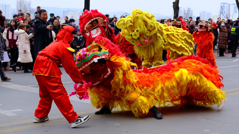 Why the Lion Reigns in She Huo Festival