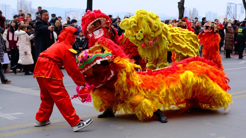 Why the Lion Reigns in She Huo Festival