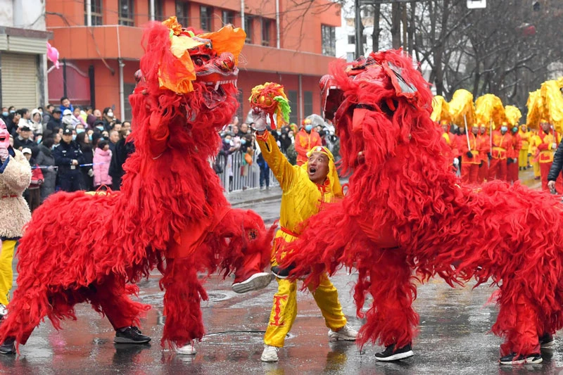 Why the Lion Reigns in She Huo Festival