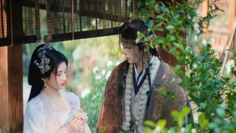 Did Xiaowei Betray Lu Wuyi in Veil of Shadows?