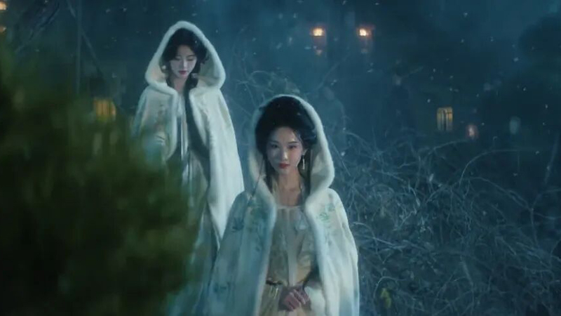 Love Beyond the Grace vs Veil of Shadows: Which Fantasy Reigns Supreme?