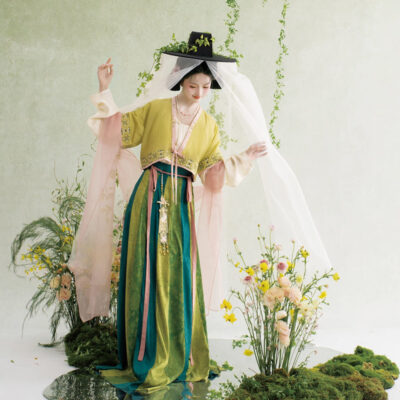 Traditional Tang Dynasty Hanfu Set Everyday Spring Women Attire