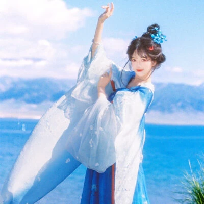 Traditional Tang Dynasty Women Hanfu in the Fa Men Si Style Blue Color Scheme