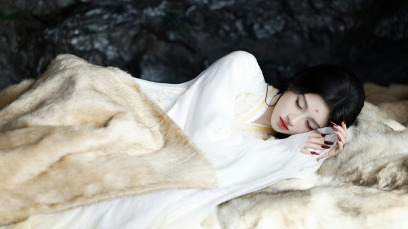 Veil of Shadows: Lu Wuyi’s Moonless Truth