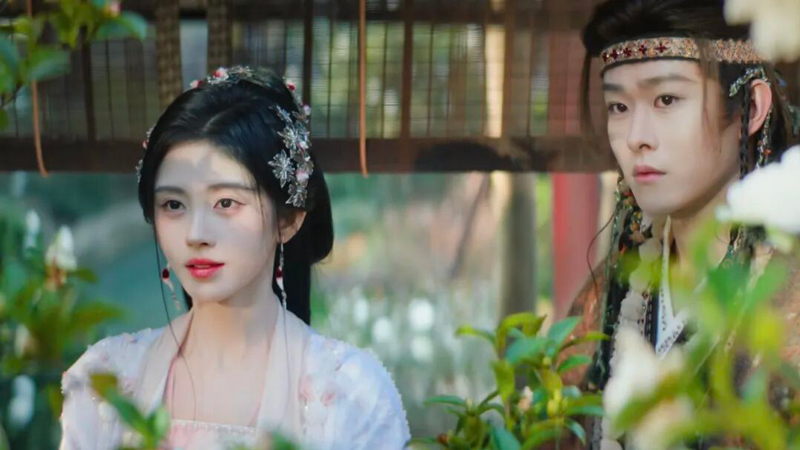 Veil of Shadows: The Clever Cousin Disguise