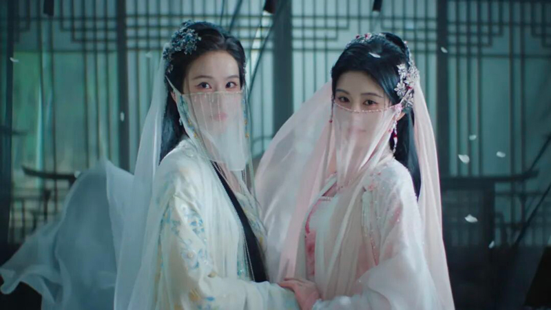 Veil of Shadows: The Clever Cousin Disguise