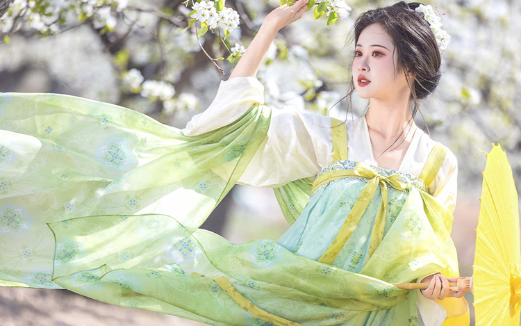 Women Spring Green Tang Dynasty Qixiong Shanqun Hanfu Set