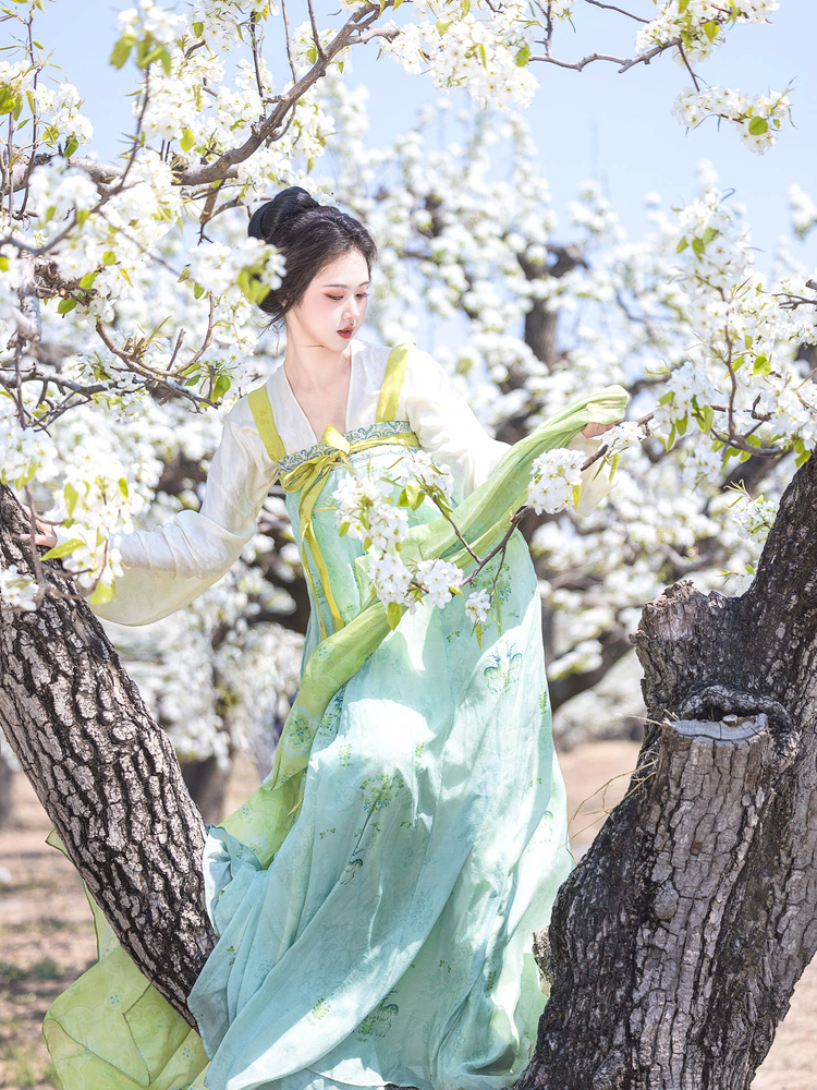 Women Spring Green Tang Dynasty Qixiong Shanqun Hanfu Set