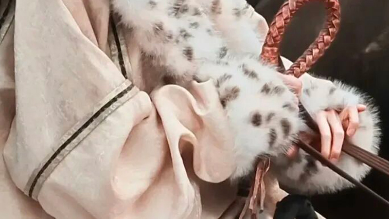 Yang Mi Wears Ancient Northern Wei Fur