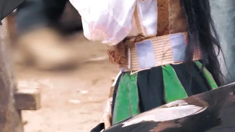 Yang Mi’s Melon-Rind Striped Skirt