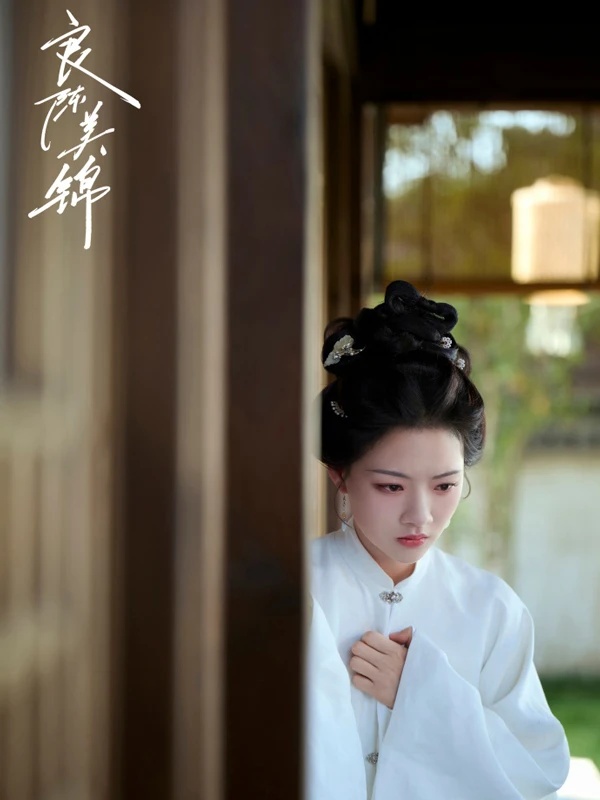 A Splendid Match: The Hidden Killer Behind Ji Han’s Death