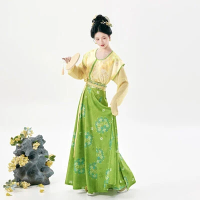 Traditional Tang Dynasty Women Hanfu Outfit Vintage Style
