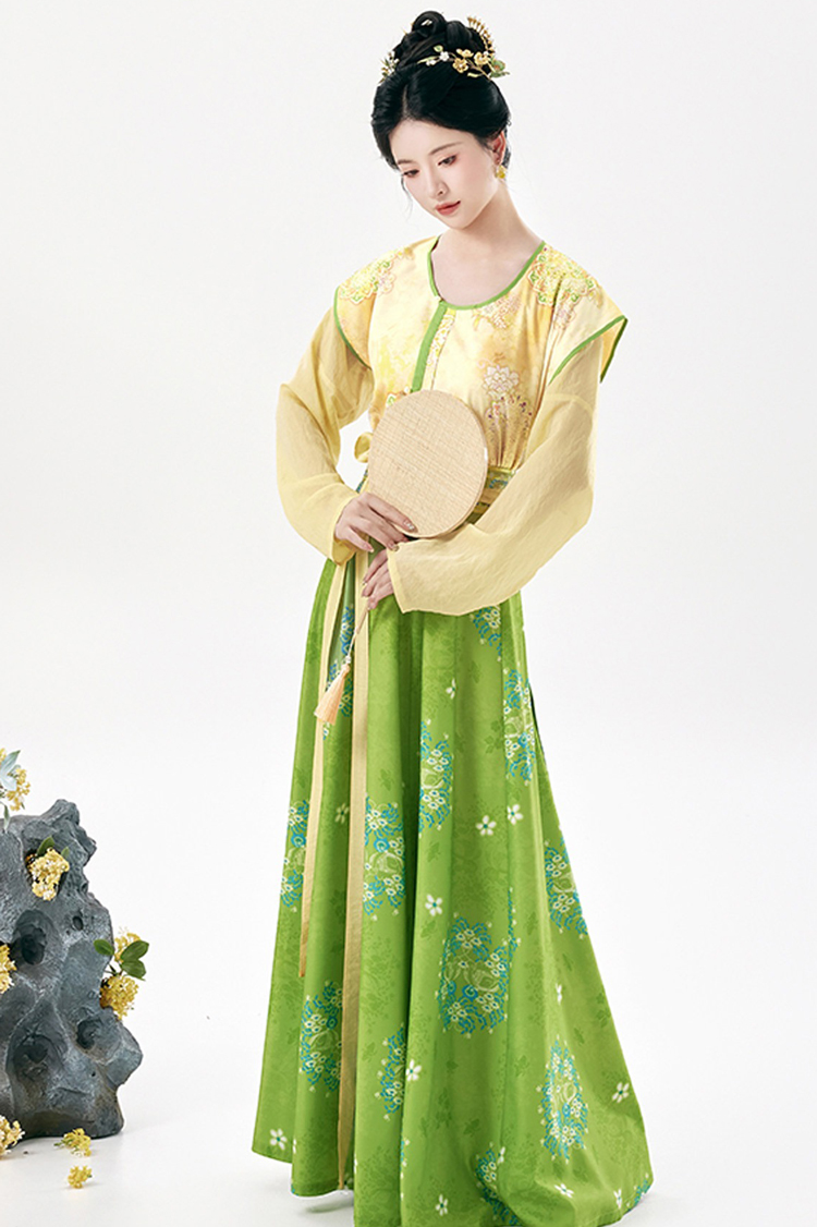 Traditional Tang Dynasty Women Hanfu Outfit Vintage Style