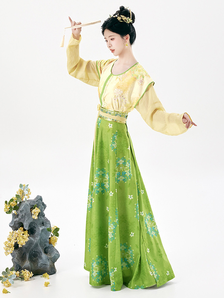 Traditional Tang Dynasty Women Hanfu Outfit Vintage Style
