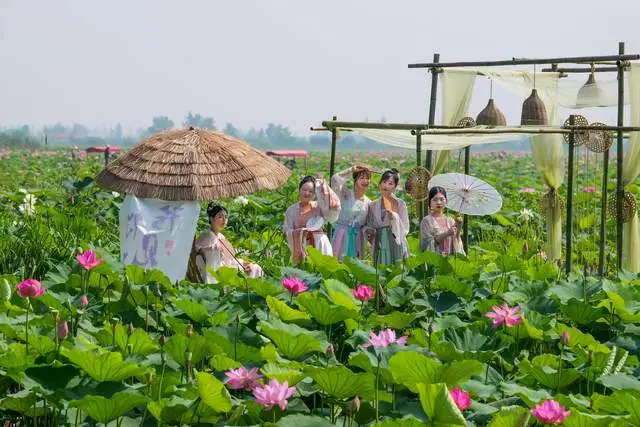 Yueyang Lotus Festival: Hanfu Visitors Get Free Entry 3
