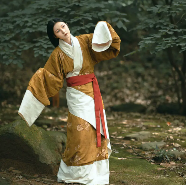 Two Shenyi Types: The Hanfu Robe Behind Quju and Zhiju