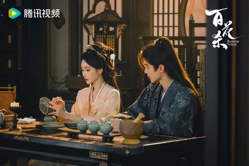Blossoms of Power: Why He Made Princess Bu Surrender Shunan’s Power