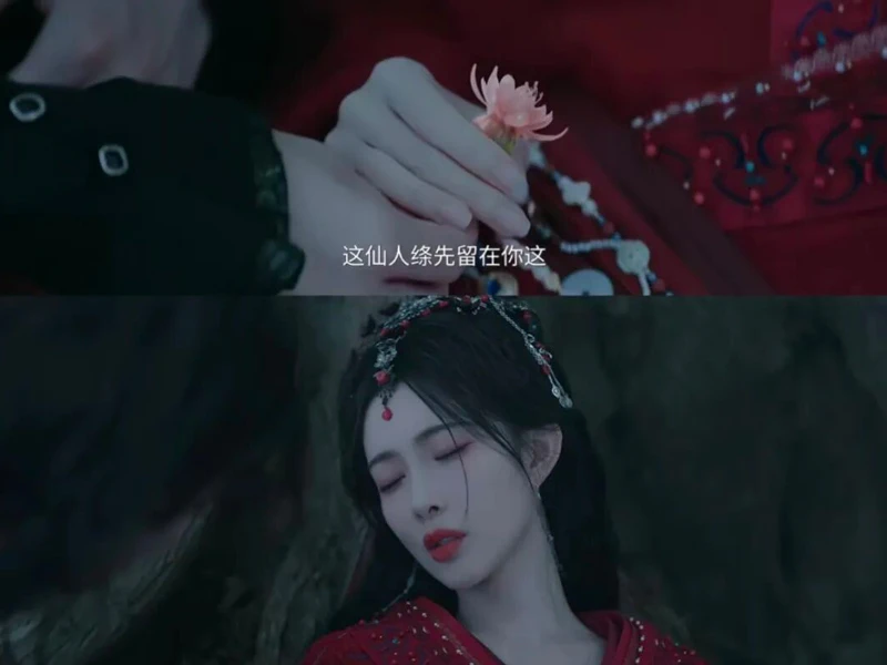 Is Crown Prince Xiao’s Love in Blossoms of Power Real?