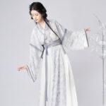 Women Spring Wuxia Style Jin Dynasty Hanfu Set Simple Elegant Dress