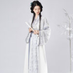Women Spring Wuxia Style Jin Dynasty Hanfu Set Simple Elegant Dress