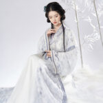 Women Spring Wuxia Style Jin Dynasty Hanfu Set Simple Elegant Dress