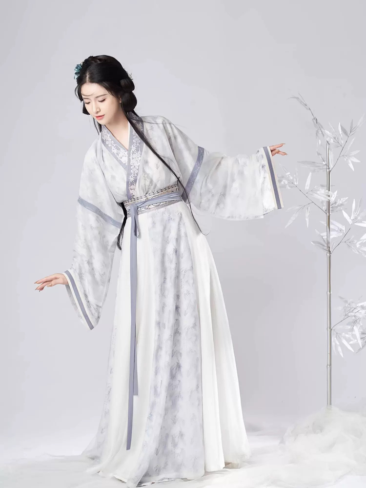 Women Spring Wuxia Style Jin Dynasty Hanfu Set Simple Elegant Dress