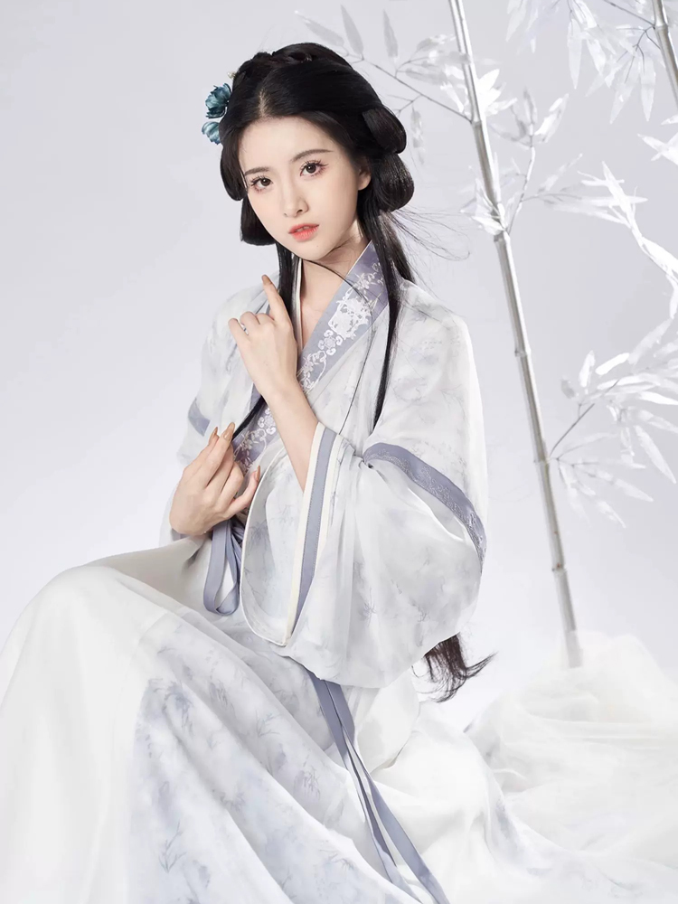 Women Spring Wuxia Style Jin Dynasty Hanfu Set Simple Elegant Dress