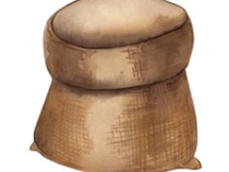 All Supplies in an Ancient Scholar’s Book Box