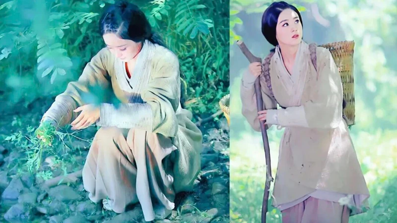 Can Zhao Liying Reinvent Herself as Empress Wei Zifu?