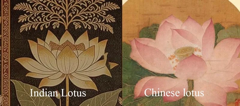 Is That a Lotus or a Battle Over Cultural Identity?