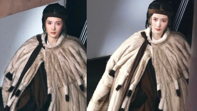Northern Wei Leather Coat Debate