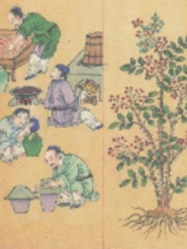 What Did Ancient Chinese Use Instead of Wardrobes?