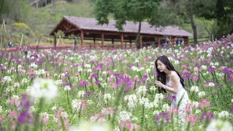 Hanfu Wearers Get Free Entry at China's Scenic Spots