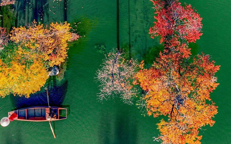 Luotian Red Leaf Season in Hubei Adds Hanfu and Mecha