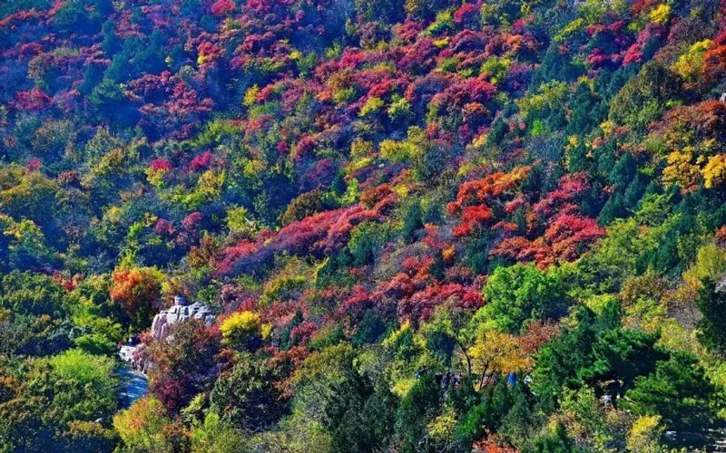 Xishan Red Leaf Festival Adds Hanfu Parades and Shows