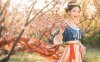 How to Handle a New Beautiful Chinese Costume?
