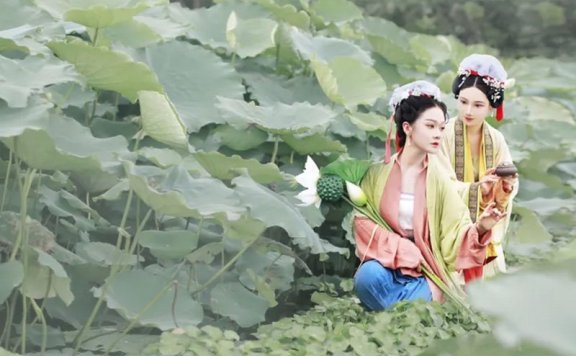 Summer Breeze & Lotus Flower & Beauty Hanfu Girl