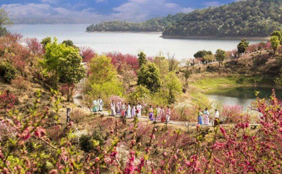 Flower Festival: The Most Beautiful Festival of Spring