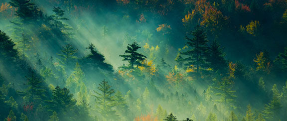 How did the Hanfu change per dynasties?