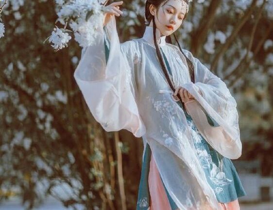 Recognizing Iconic Hanfu Styles From 6 Key Dynasties