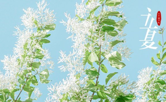 Chinese Traditional 24 Solar Terms Topic Program Collection -Updating