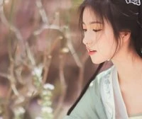 How did the Hanfu change per dynasties?