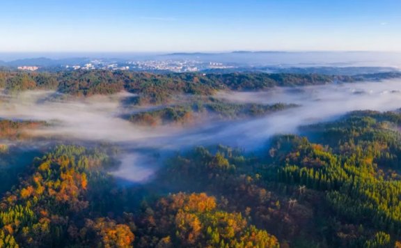 Huangshui National Resort Invites You to 21℃ Summer