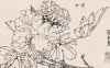 How to Conduct Line Drawing Sketching of Fine Brush Flower-and-Bird Paintings