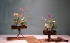 The Essence of Traditional Chinese Flower Arrangement