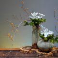 A Step-by-Step Guide to Crafting and Caring for Micro-landscapes